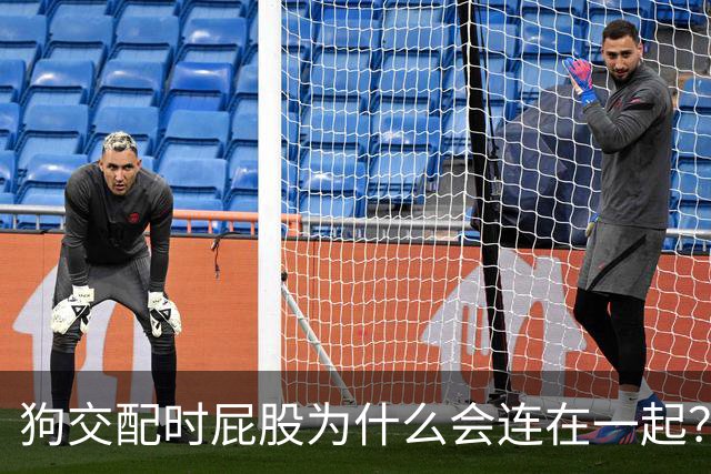 狗交配时屁股为什么会连在一起？是母狗不让，还是公狗不想？