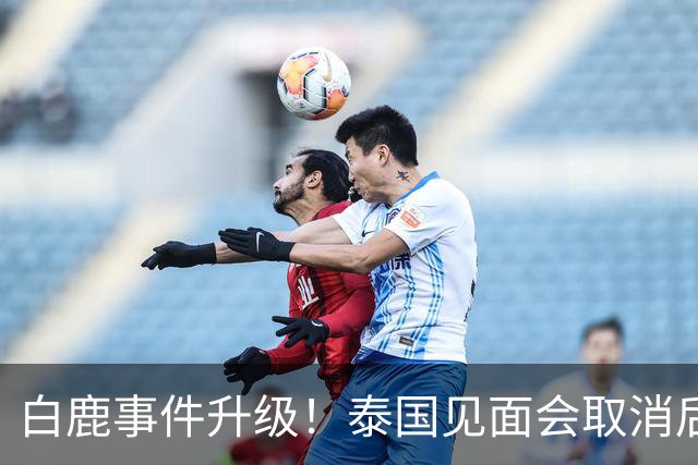 白鹿事件升级！泰国见面会取消后，缅北视频又被扒，黑历史曝光